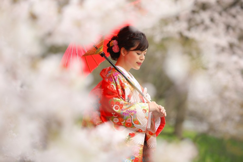 桜写真まとめ✿