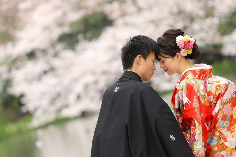 桜写真まとめ✿