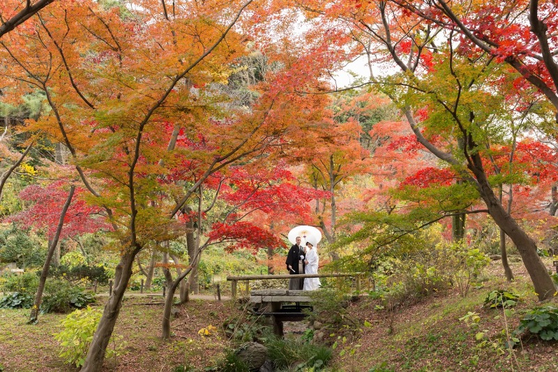 紅葉シーズン撮影大人気です！