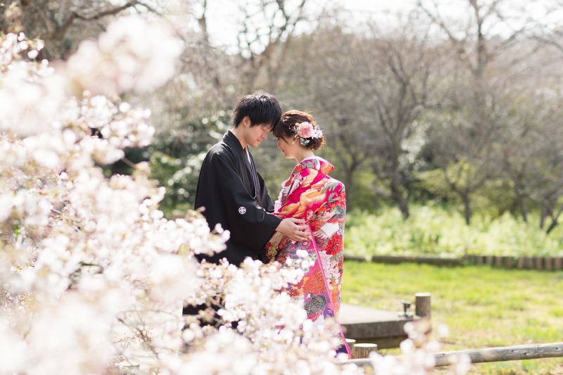 【大人気】桜シーズン残りわずかです!