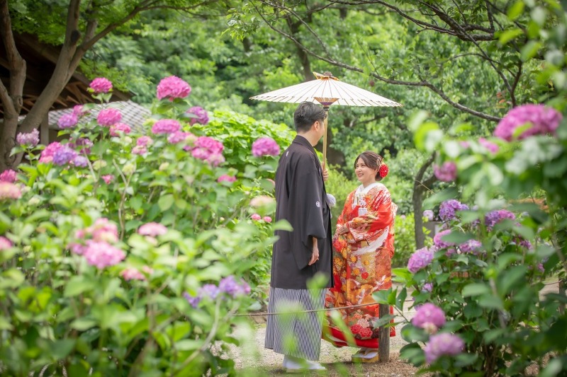 三渓園の3月の桜撮影から6月のアジサイ撮影までの風景をご紹介します ご参考に♡