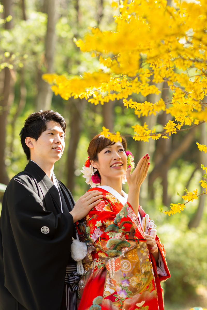 紅葉のお写真ーご予約受付中です。