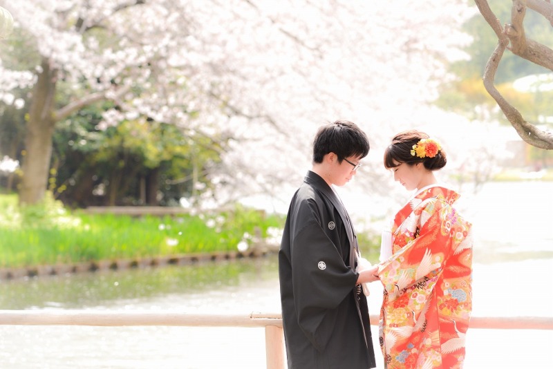 桜写真まとめ✿