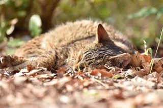 運が良ければ会えるかも&hellip;&hearts;