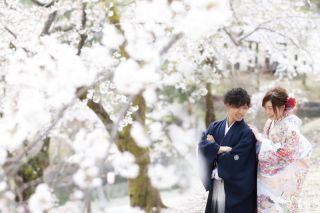 【長岡創寫館周辺の桜スポット3選】その1