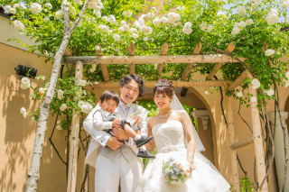 初夏の薔薇と撮影