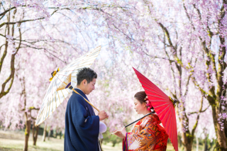 4月撮影ご案内開始\どちらがお好み?/期間限定桜フォトor和洋装3着プラン