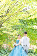 新緑撮影はいかがでしょうか