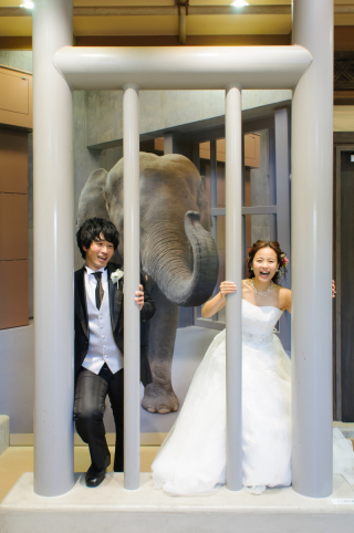 東山動物園でフォトウェディング☆彡