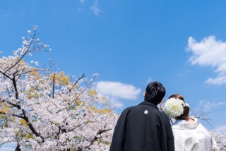 今春の撮影予約も始まってます♡