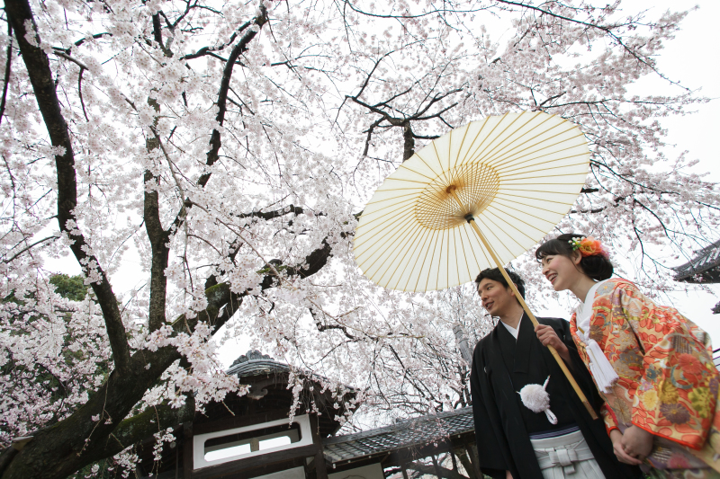 桜の前撮り☆