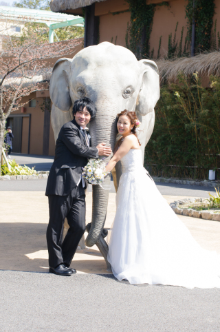 東山動物園でフォトウェディング☆彡