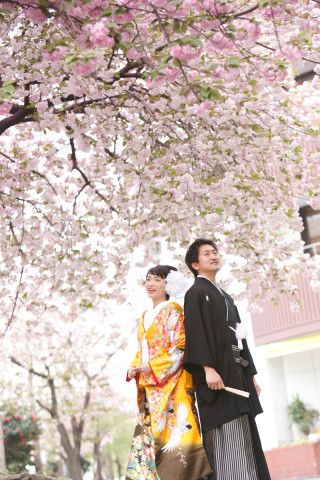 春の撮影お問合せください♥