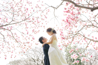 春撮影まだ間に合います♡