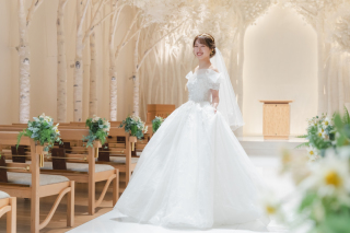 平日のフォトプラン相談会☆