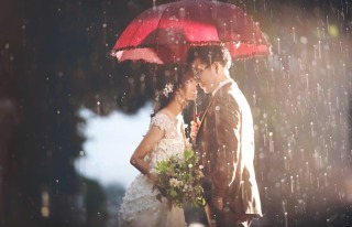 【来たかいがありました】