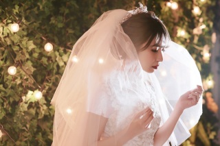 【ドレスのポイント】