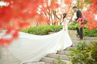 【興味を持ったきっかけは】