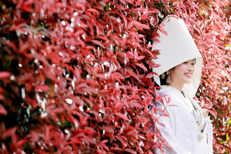 ★期間限定★ 4月頃真っ赤なカナメと撮影♪