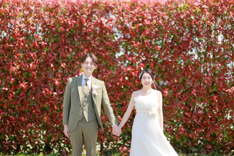 ★期間限定★ 4月頃真っ赤なカナメと撮影♪