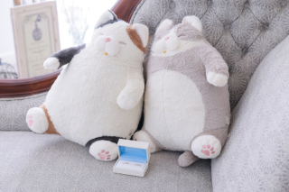 お好きなグッズと一緒に♪　～フォトウエディング～　