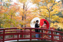 今からが本番!紅葉ロケーション!