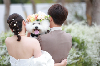 愛犬と一緒に♡