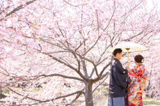 今がチャンス！桜ロケーション！