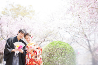 春の桜ロケーションデータプラン