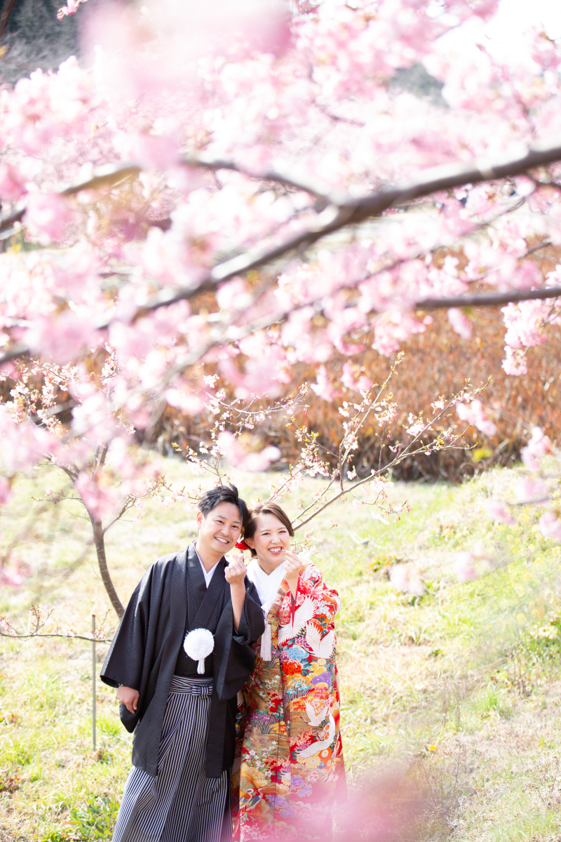 今がチャンス！桜ロケーション！
