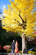 秋のロケーション撮影!紅葉をバックに和装ロケ♪