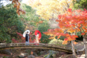 ☆Autumn キャンペーン☆ 秋の紅葉のご予約はお早めに!
