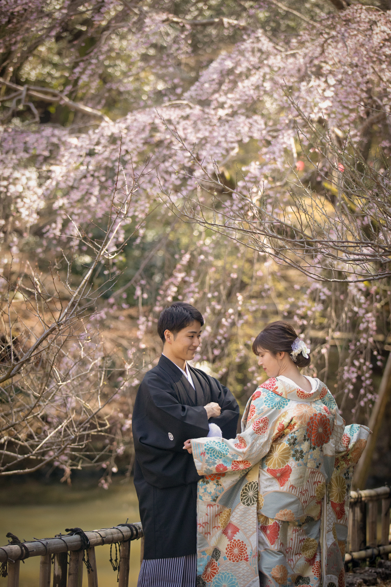 今がチャンス！桜ロケーション！