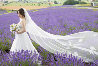 富良野・美瑛リゾートフェア開催♪