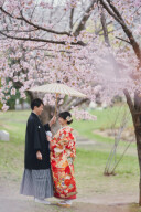 【4日間限定】.☆.｡.:+｡ ブライダルフェア開催決定♪ .･*.☆.｡.+.