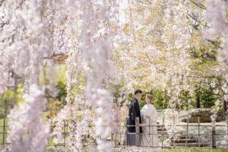 【札幌・函館・富良野】*・*:.。.:*・リゾートフェア開催・*:.。.:*・*