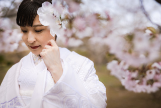 桜シーズンまでもう少し!