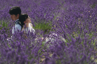 富良野ロケーション撮影相談会開催!!!