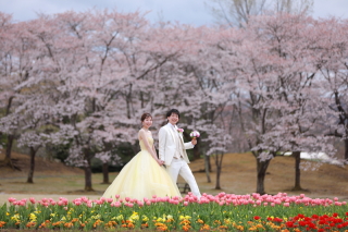 桜ロケ地☆みちのく湖畔公園