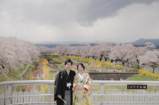 桜ロケ☆一目千本桜