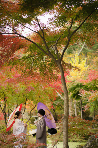 紅葉早割キャンペーン