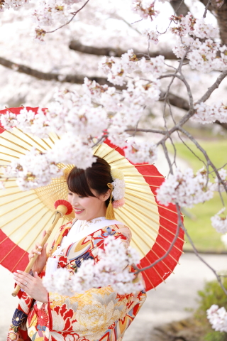 弘前城*桜早割特別プラン