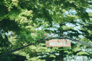 ☆泉ボタニカルガーデン撮影 モニター募集のご案内☆