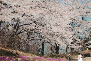 【2月8日〜11日限定】Spring BigFair開催!