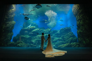 うみの杜水族館ロケーション撮影✨