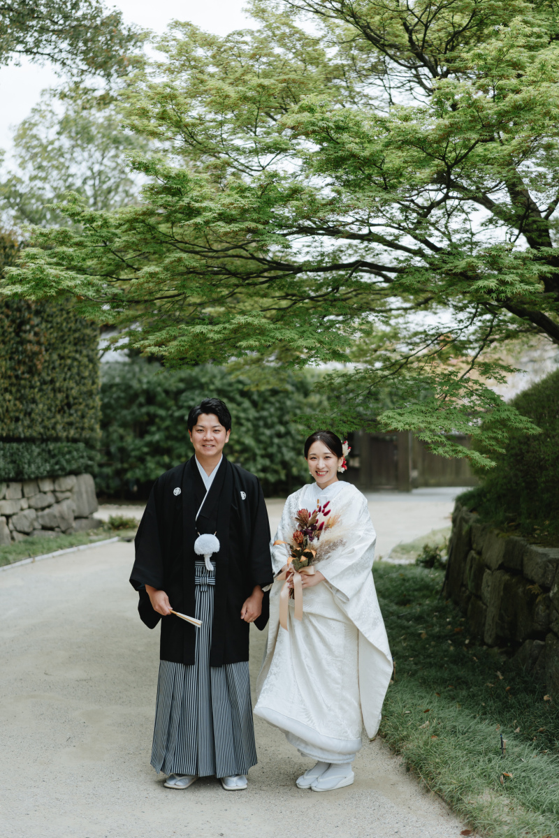 庭園と桜