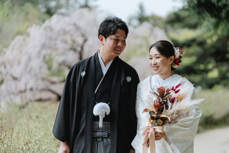 庭園と桜
