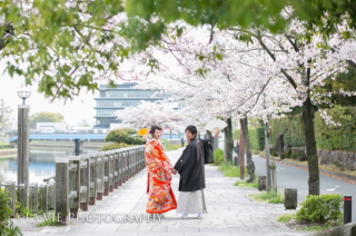 春の予約・スタートします!!