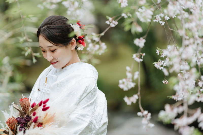 庭園と桜