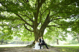 緑いっぱいのロケーション